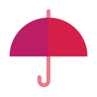 Life Insurance
