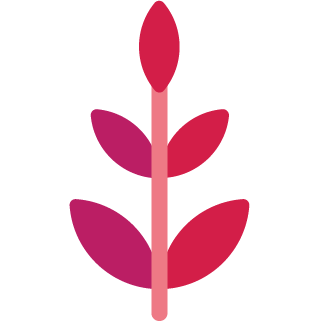 key person insurance nz