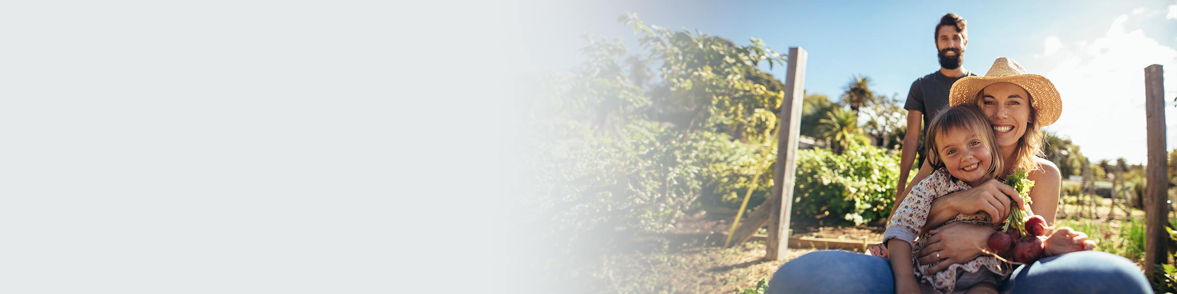 Business and Rural insurance NZ