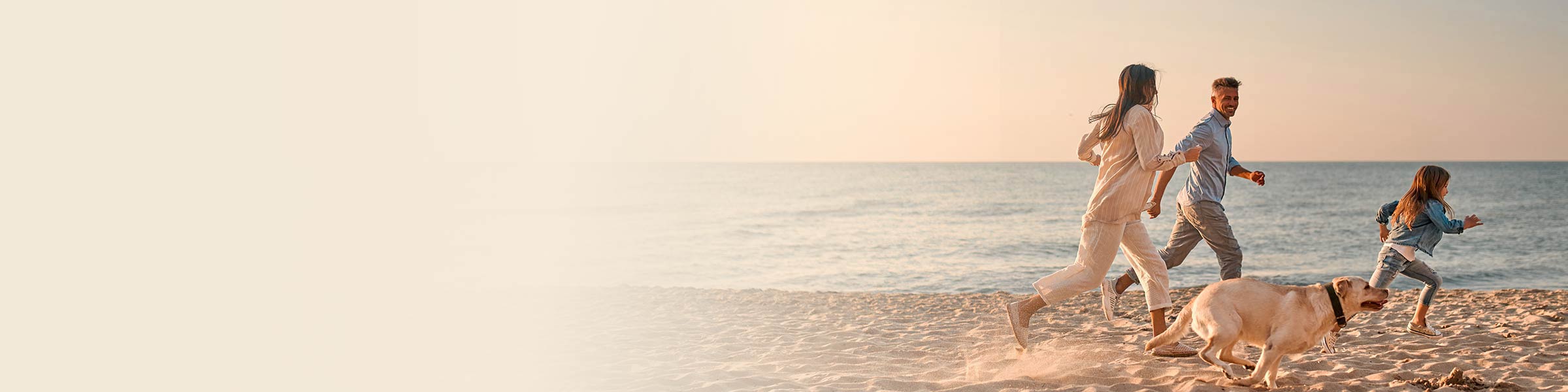 Life insurance nz