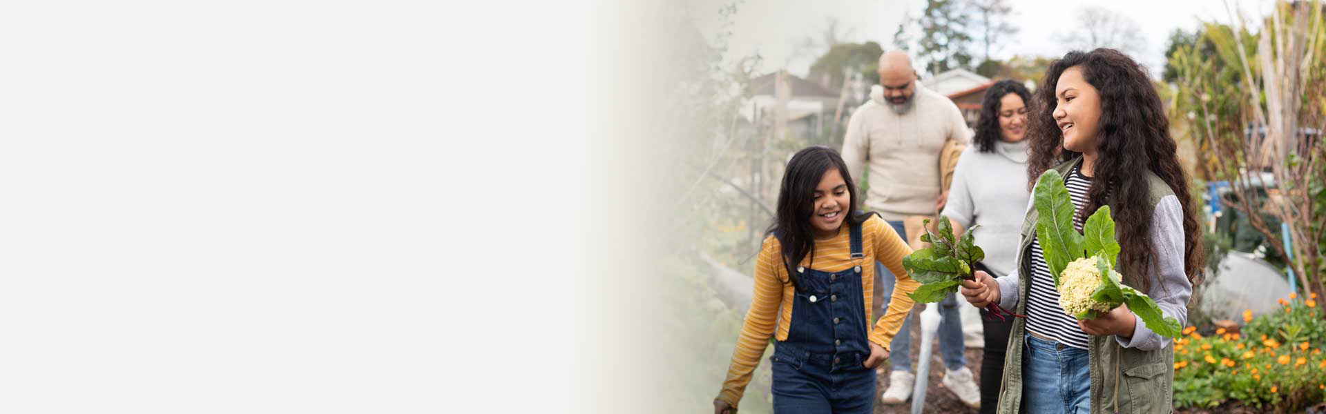 Life and Health insurance NZ