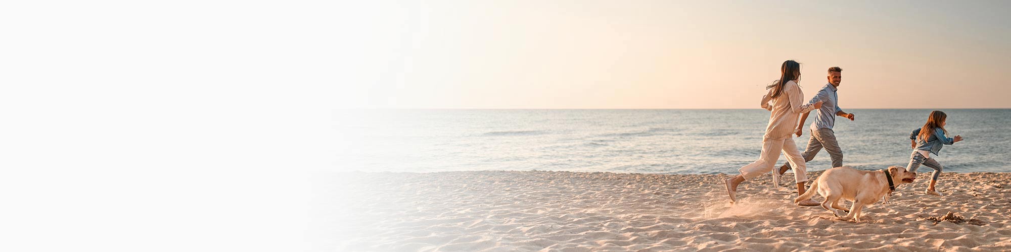 Life insurance nz