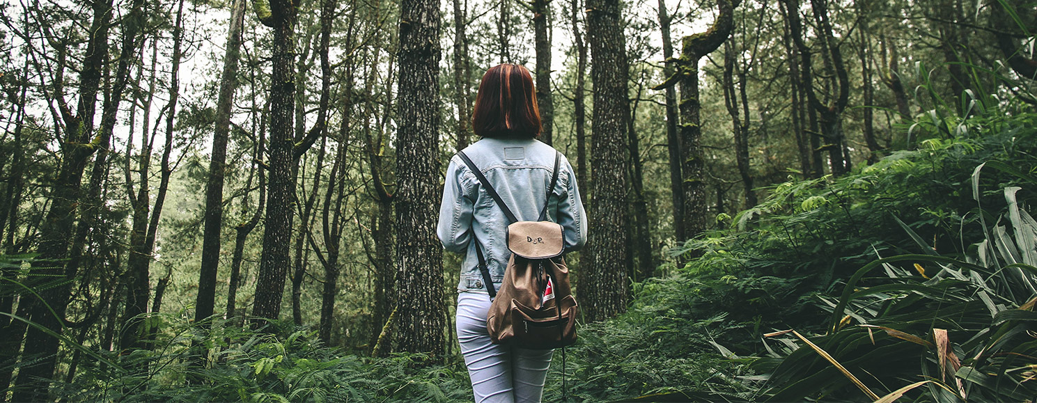 A person walking in a forest