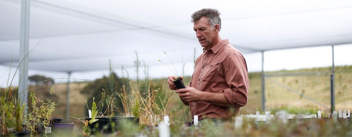 Tim Jarvis gardening