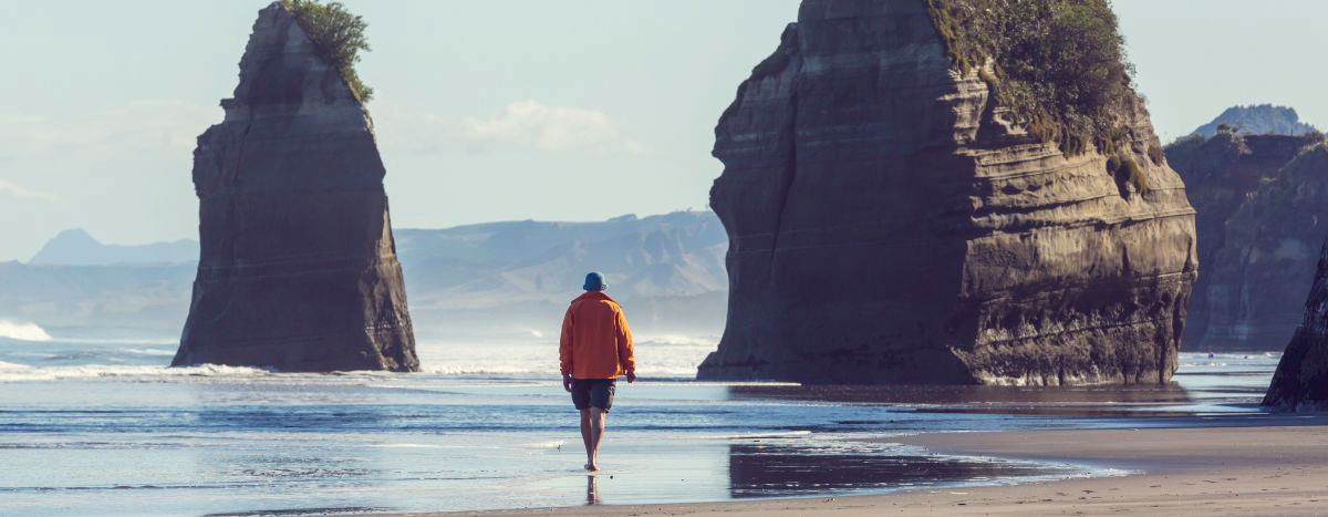 A New Zealand beach scene
