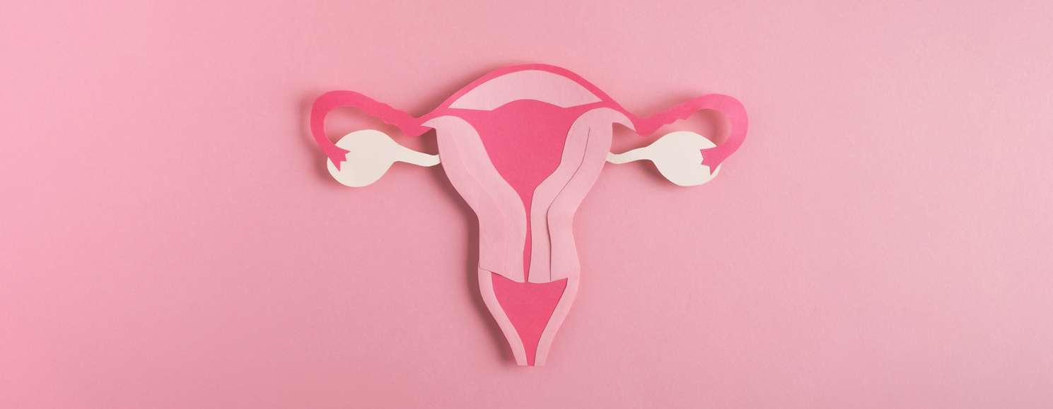 Lower risk of cancer - image of uterus on pink background