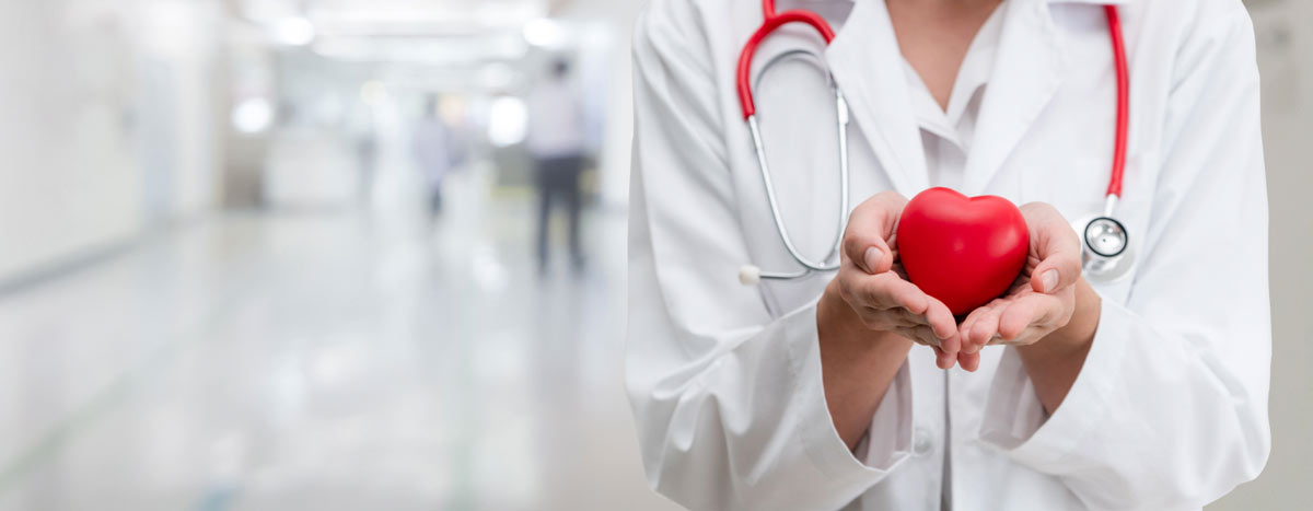 A doctor holds a plastic red heart in their hands at a hospital