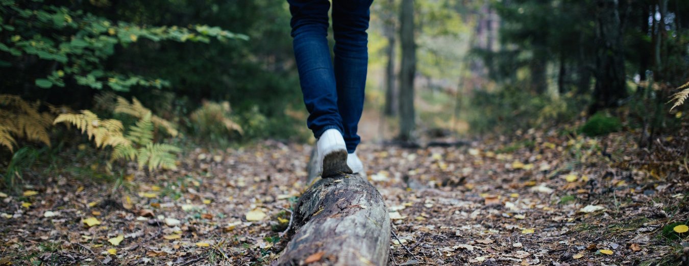 Studies show walking in nature is great for our bodies and minds.