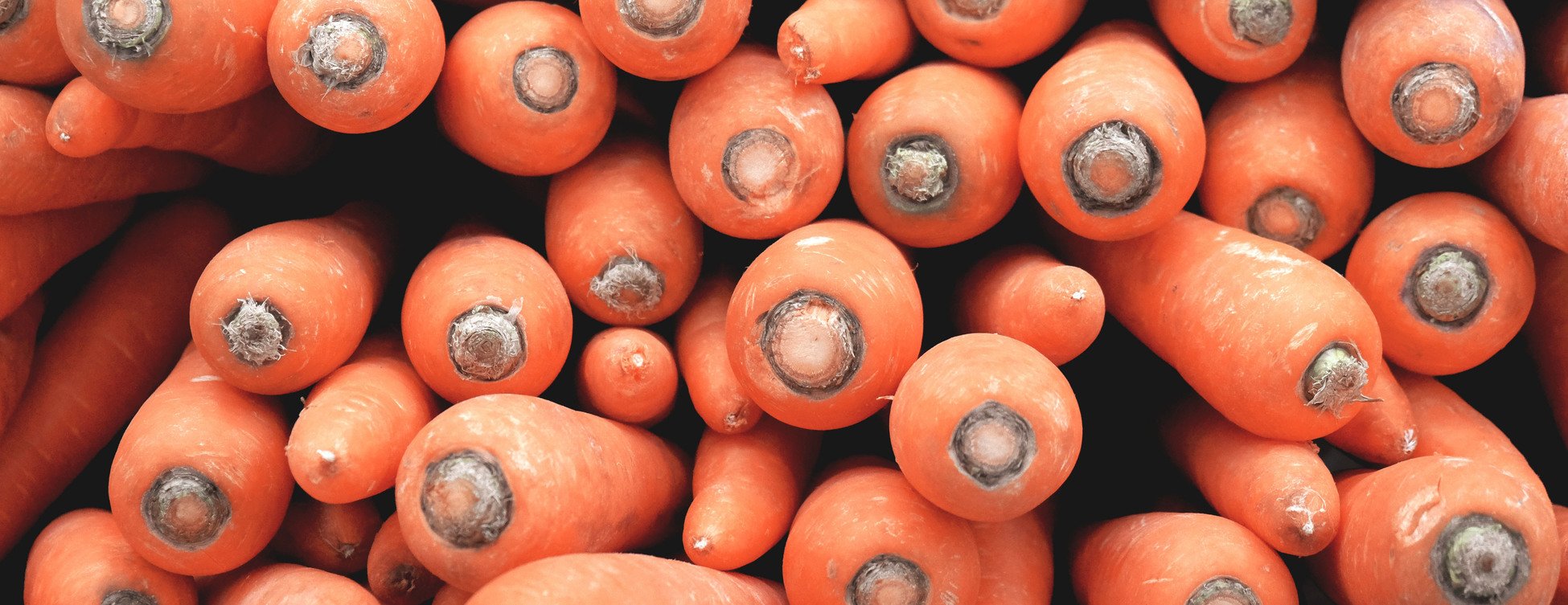 carrots